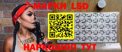дмт Славгород