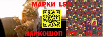 дмт Славгород