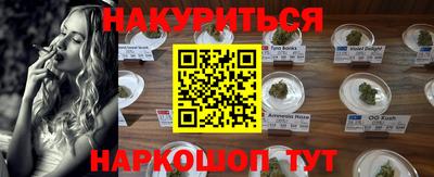 спиды Сланцы